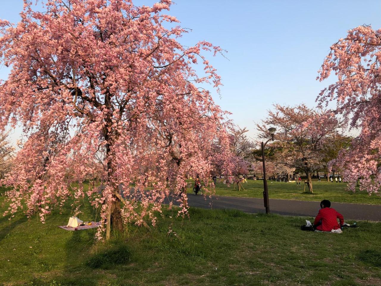 Tokyo Toneri Garden House-Stay Экстерьер фото